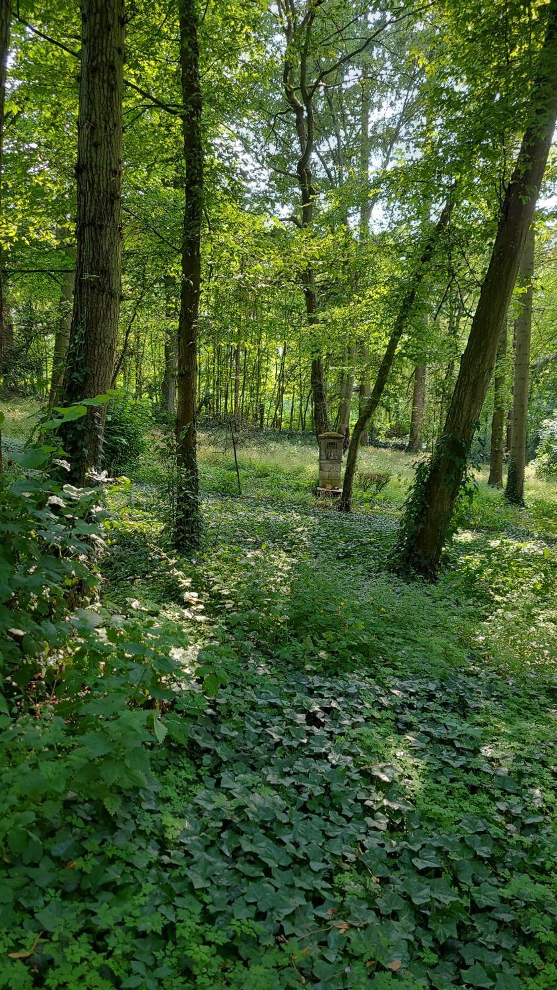 Le Manoir Paradi Presles-et-Thierny Luaran gambar