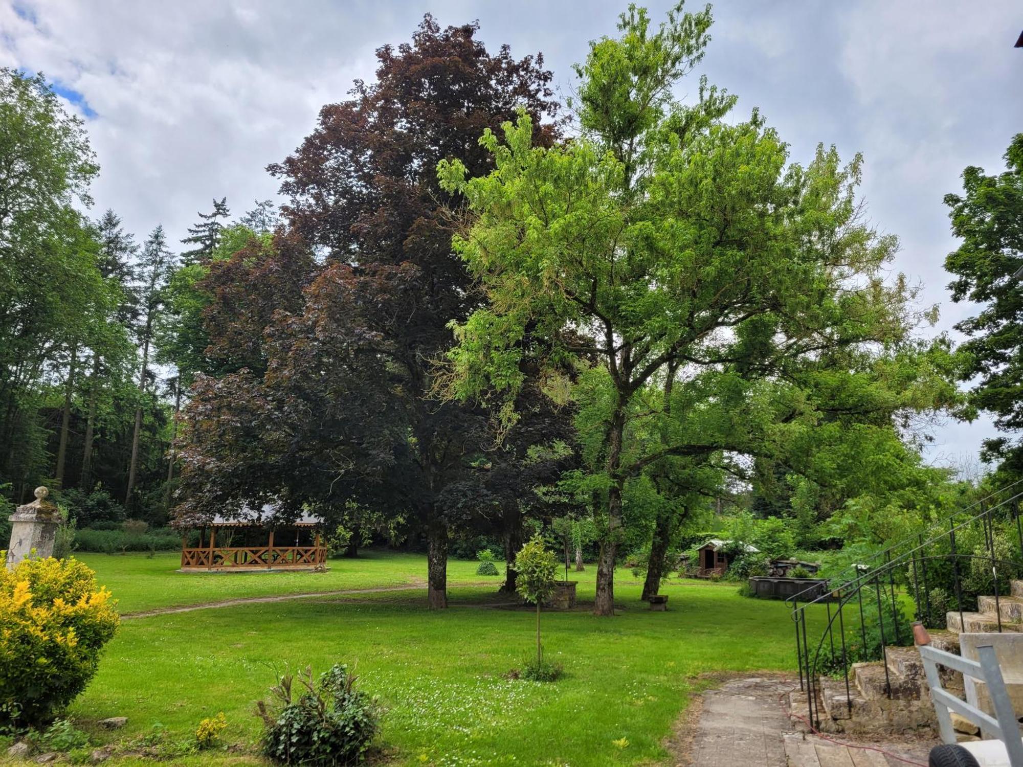 Le Manoir Paradi Presles-et-Thierny Luaran gambar